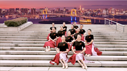花与影广场舞灯火里的中国-12人队形版