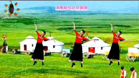 阳光美梅广场舞草原姑娘最可爱-藏族风格32步-正面演示#舞出美丽舞出健康