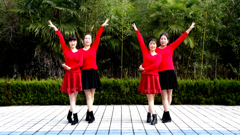 蝶依广场舞旺旺旺-新年旺旺舞起来简单双人舞原创附教学