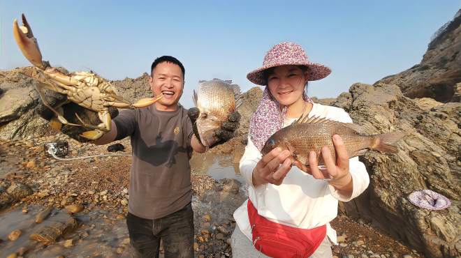 渔戈兄弟赶海最新视频