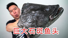  小文哥吃吃吃-压箱底的巨大石斑鱼头，做一份顶级剁椒鱼头，把小伙伴们吃撑了