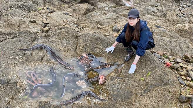渔妹小双赶海视频全集_广场舞地盘娱乐频道