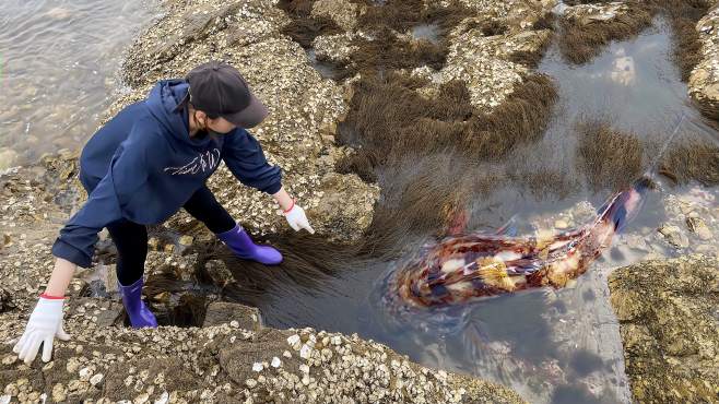 渔妹小双赶海视频全集_广场舞地盘娱乐频道