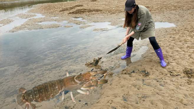 渔妹小双赶海视频全集_广场舞地盘娱乐频道