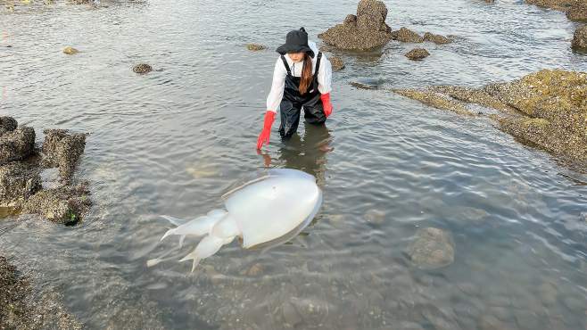 渔妹小双赶海视频全集_广场舞地盘娱乐频道