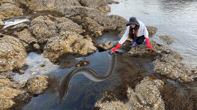渔妹小双赶海视频全集_广场舞地盘娱乐频道