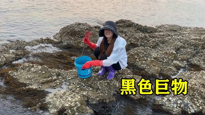 渔妹小双赶海视频全集_广场舞地盘娱乐频道