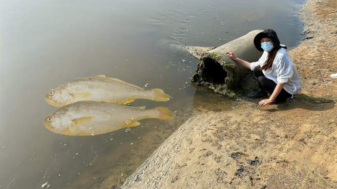 渔妹小双赶海视频全集_广场舞地盘娱乐频道