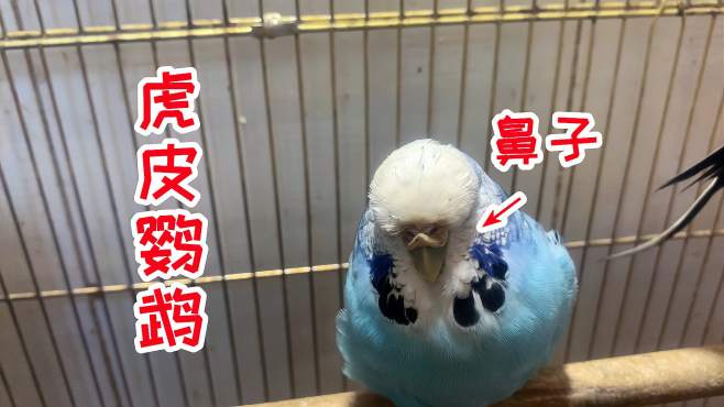 super搞笑开箱视频全集_广场舞地盘娱乐频道