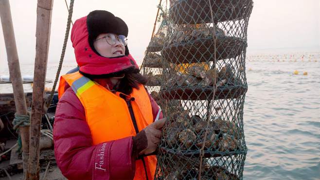 大梅小镇赶海视频_大梅小镇全部视频_广场舞地盘娱乐频道