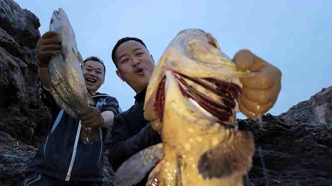 渔戈兄弟赶海最新视频_渔戈兄弟赶海视频全集_广场舞地盘娱乐频道