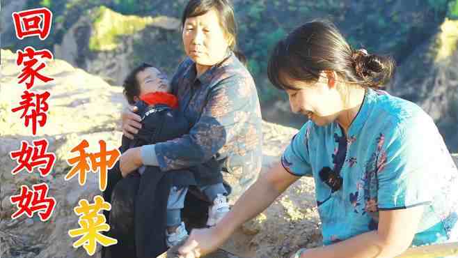 丹霞春姐做饭视频_丹霞春姐美食视频大全_广场舞地盘娱乐频道