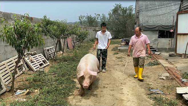 農村傻大妮兒最新視頻_農村傻大妮兒視頻大全_廣場舞地盤娛樂頻道