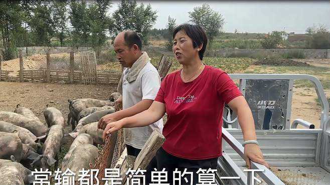 大妮对着镜头说出背后酸甜苦辣,真不容易-《农村傻大妮儿》[db:时长]